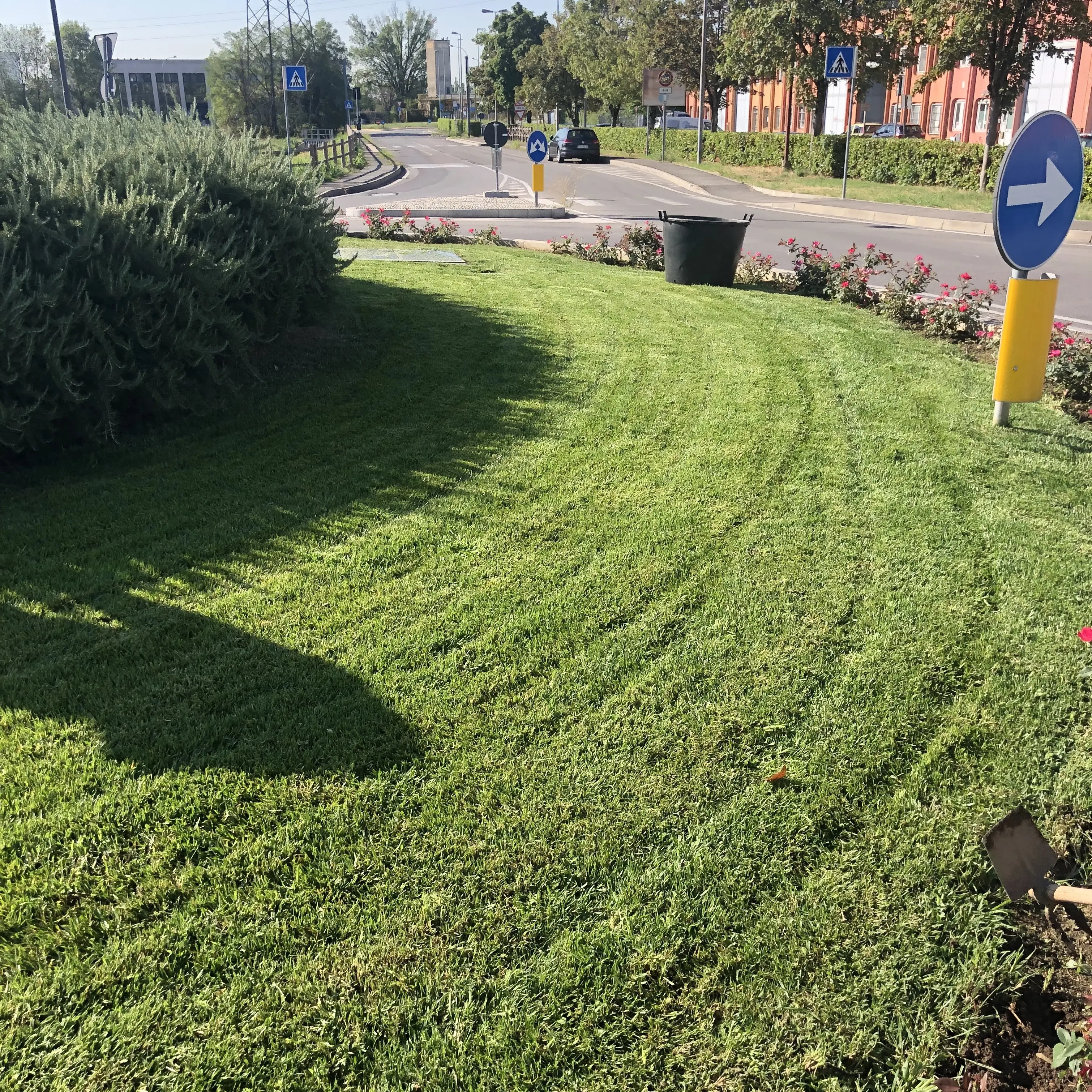 Servizi per aziende
